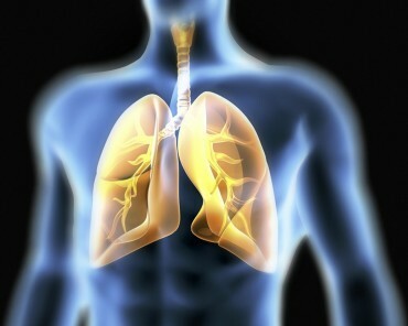 Sistema respiratório humano, obras de arte