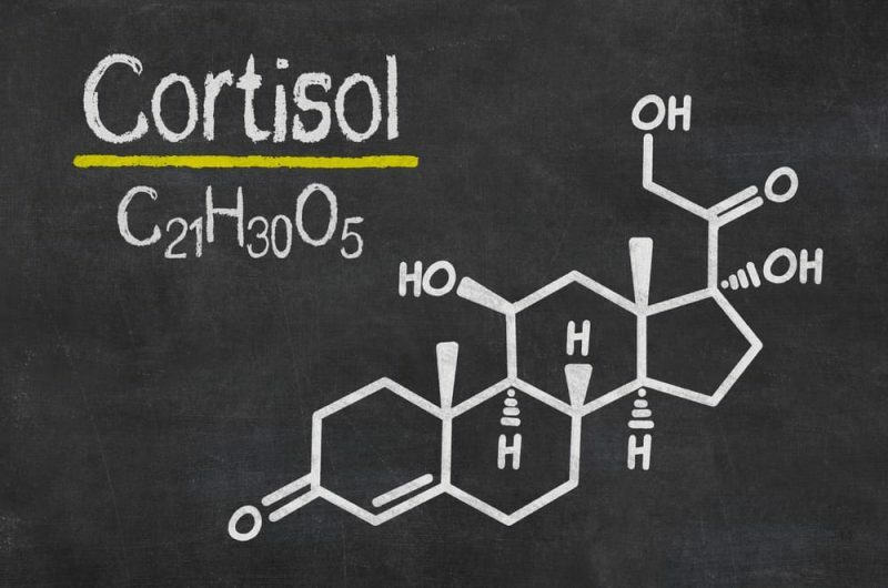 Cortisol hormon