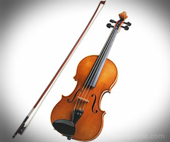 I violini, come i violoncelli e le viole, sono strumenti ad arco.