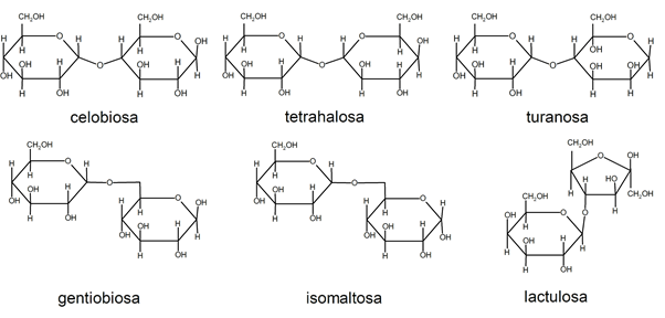 30 Exemplos de monossacarídeos, dissacarídeos e polissacarídeos