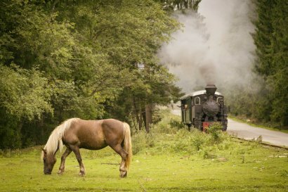 Ορισμός του Steam Horse
