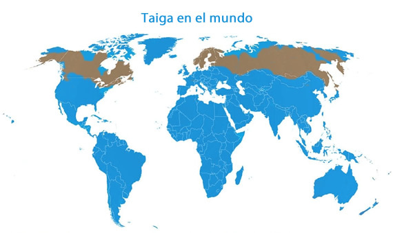 Taiga térkép