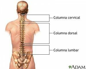 Определение на гръбначния стълб