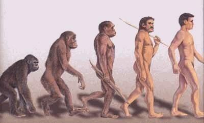 Definicja Homo Sapiens