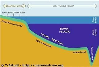 深海平原の定義