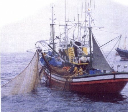 Definição de pesca marítima
