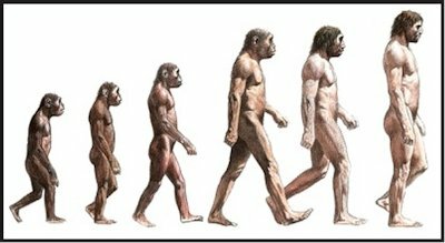 Evolúció