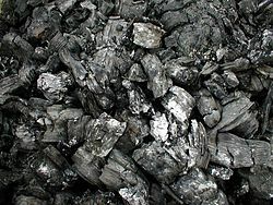 Definice dřevěného uhlí