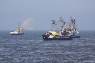 Importance de la mer péruvienne