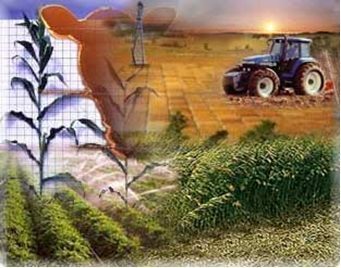 Определение сельскохозяйственного производства