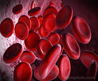 Hemoglobin carries oxygen in the blood