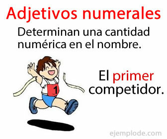 The numeral adjectives are those that determine a numerical quantity in the name. 