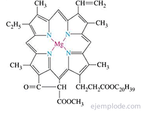 Struktur Klorofil