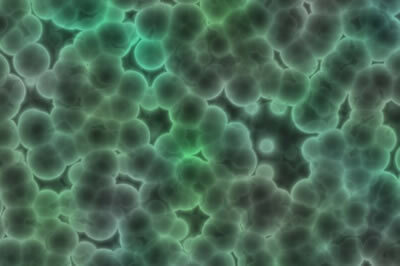 Характеристики прокариотической клетки