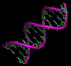 Pentingnya Genom Manusia