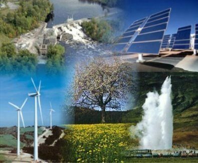 Definition of renewable resources
