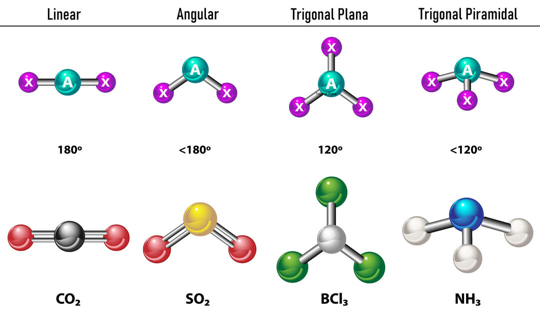 分子構造の定義