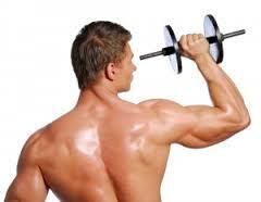 Definition of Muscle Mass