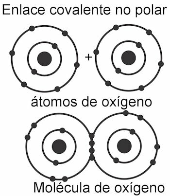 Nepolární kovalentní vazba