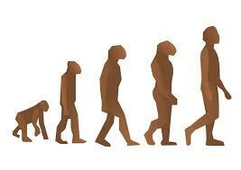 Evoluution tärkeys