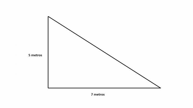 stačiasis trikampis - plotas 