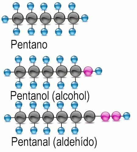 Tata nama senyawa organik, pentana, pentanol, pentanal