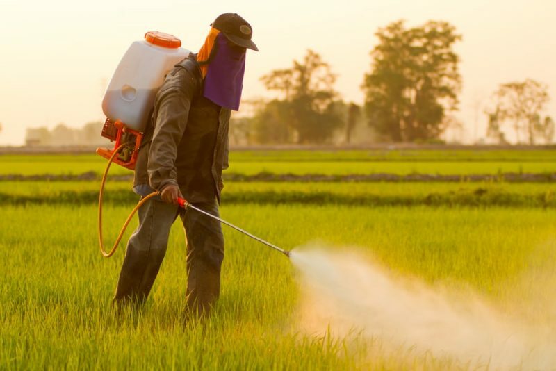 pesticidas contaminação do solo