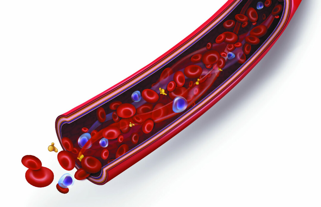 Определение ткани крови