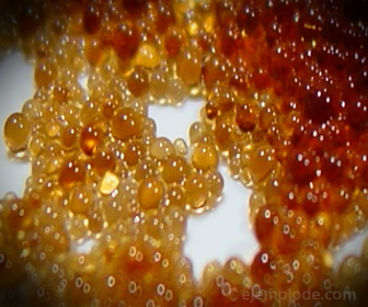 The ion exchange resin is washed with Distilled Water