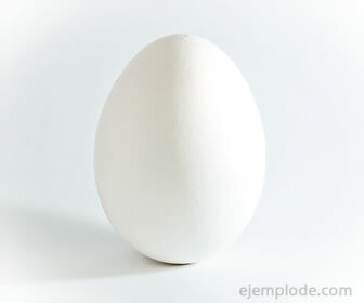 Bílé slepičí vejce