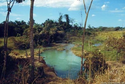 Ökologisches Reservat