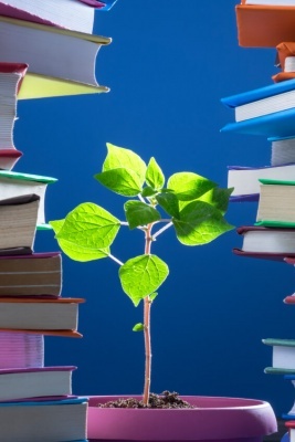 Miljøundervisning-2-bøger