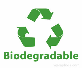 Logotipo biodegradável.