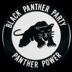 Vikten av Black Panthers