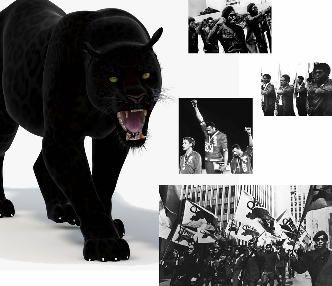 Definícia strany Black Panther