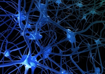 Definisjon av nervesystemet