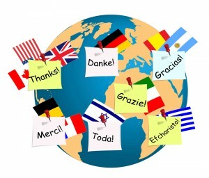Definice jazykové rozmanitosti