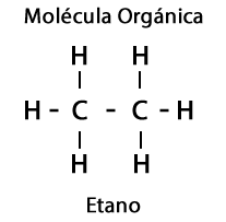 Exemplo de molécula orgânica