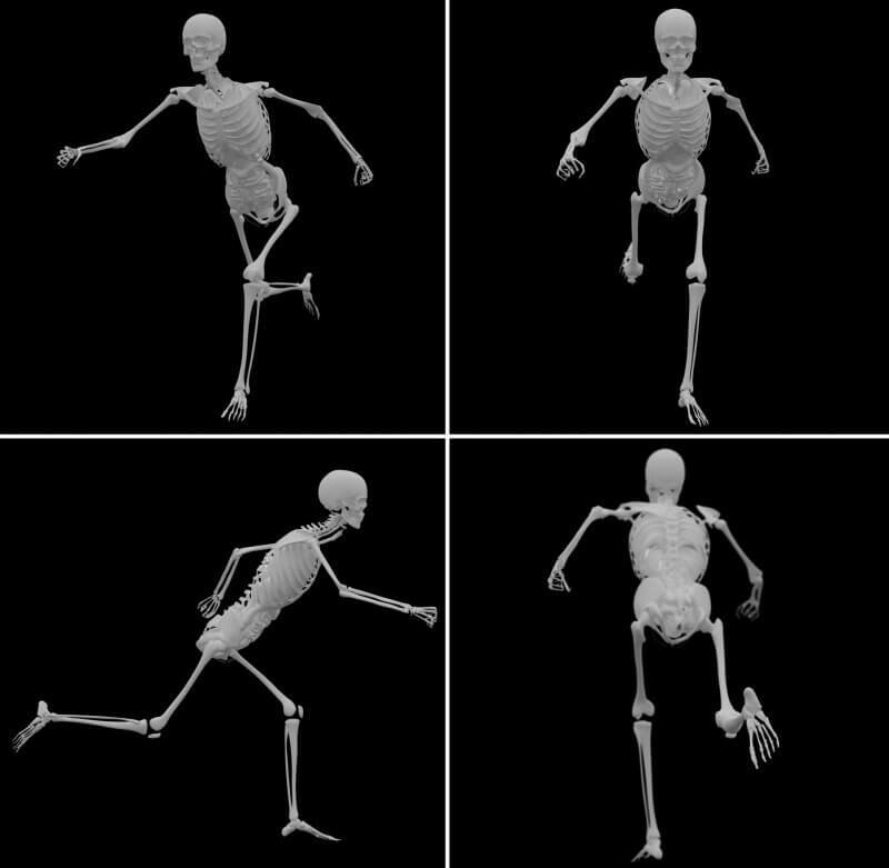 पैर की हड्डियों की परिभाषा