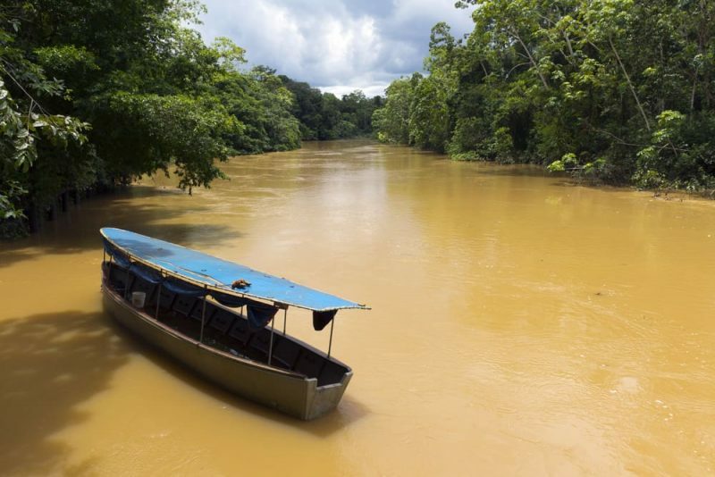 амазонка - река и джунгли