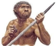 Визначення Homo erectus