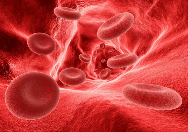 sarkanās asins šūnas