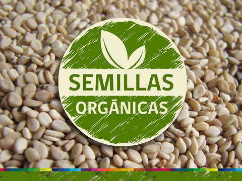 Definice organických semen