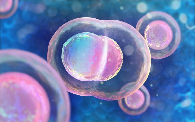 20 Παραδείγματα Εξειδικευμένων Κυττάρων