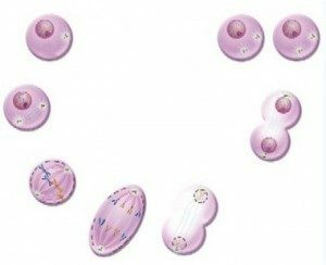 Importance of Mitosis