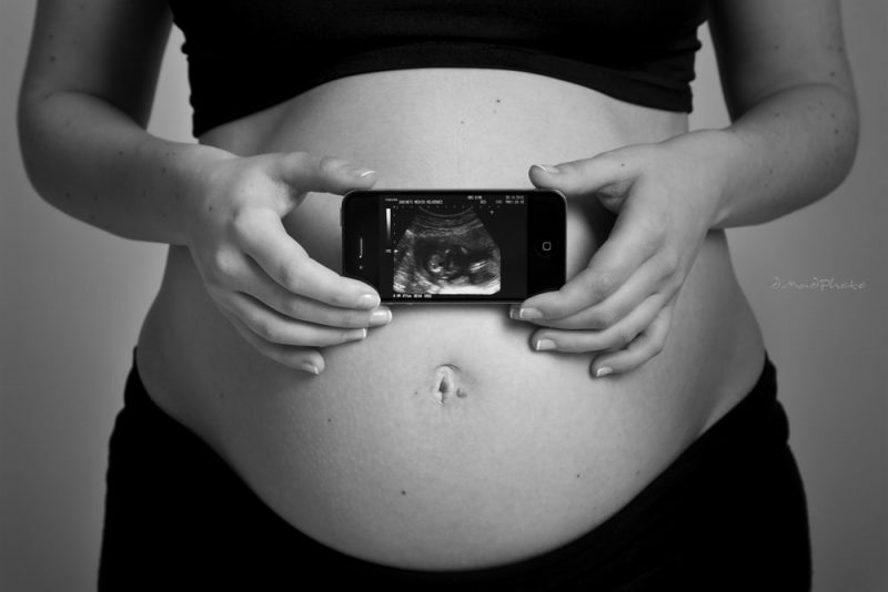 prenatální těhotenství - vývoj člověka