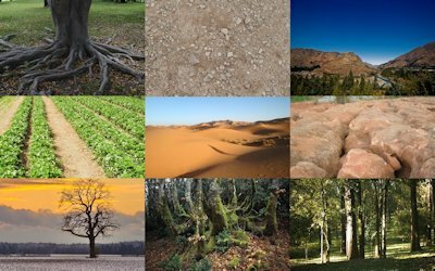 Charakteristiky pôdy