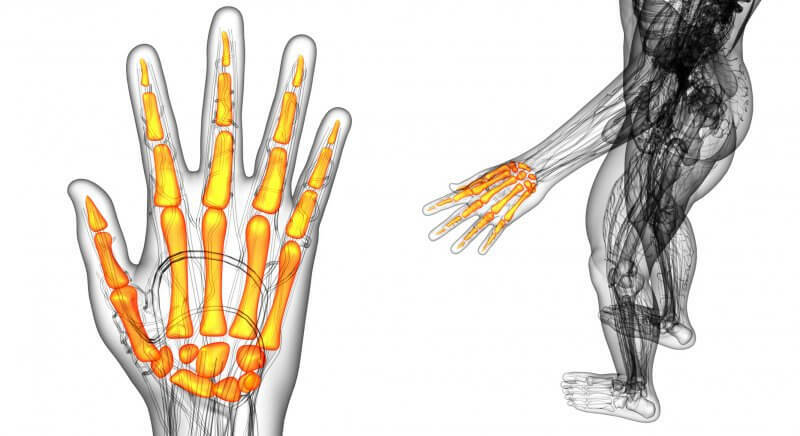 Definizione di ossa della mano