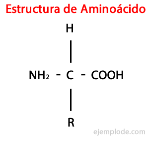 Exemplo de aminoácido