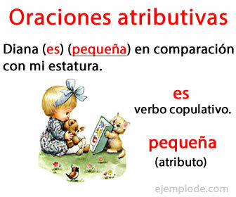 Attributiva meningar är de som innehåller ett kopulativt verb och ett attribut i predikatet.